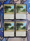 Exotic Orchard