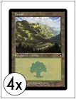Forest #