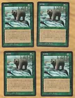 Grizzly Bears