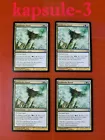 Leafdrake Roost