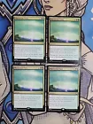 Maelstrom Pulse