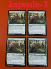 Bear Umbra