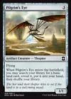 Pilgrim's Eye