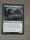 Thornhide Wolves