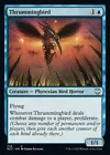 Thrummingbird