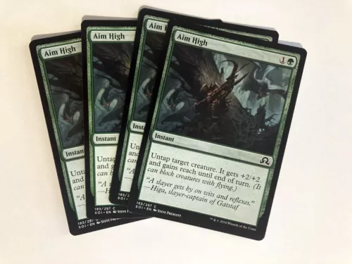 Shadow of the Grave