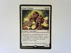 Ajani's Chosen