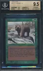 Grizzly Bears