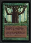 Ironroot Treefolk
