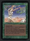 Shanodin Dryads