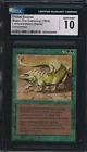 Thicket Basilisk