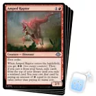 Expedition Raptor #