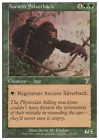 Ancient Silverback