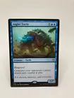 Angler Turtle #