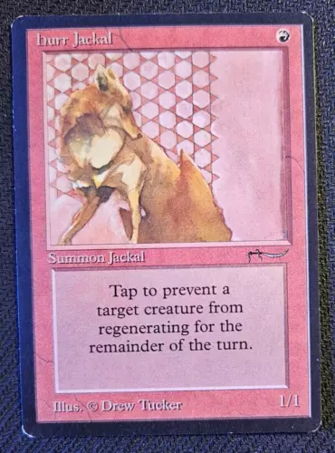 Hurr Jackal
