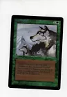 Aspect of Wolf