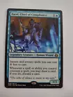 Baral, Chief of Compliance