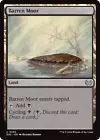 Barren Moor #