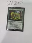 Bear Umbra