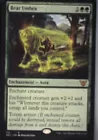 Bear Umbra