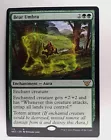 Bear Umbra