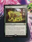 Bear Umbra
