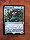 Benthic Giant #