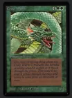 Craw Wurm