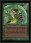 Craw Wurm