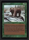 Grizzly Bears