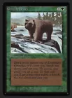 Grizzly Bears
