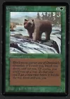 Grizzly Bears