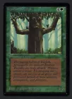 Ironroot Treefolk