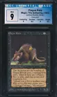 Plague Rats