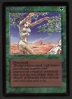 Shanodin Dryads