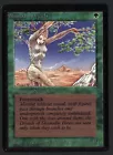 Shanodin Dryads