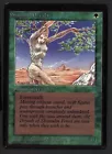 Shanodin Dryads