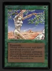Shanodin Dryads