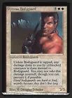 Veteran Bodyguard