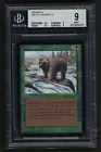 Grizzly Bears