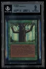 Ironroot Treefolk