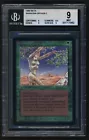 Shanodin Dryads