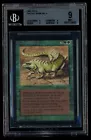 Thicket Basilisk