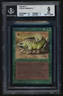 Thicket Basilisk