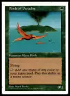 Birds of Paradise #