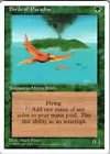 Birds of Paradise