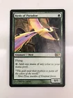 Birds of Paradise