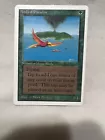 Birds of Paradise