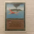 Birds of Paradise