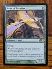 Birds of Paradise